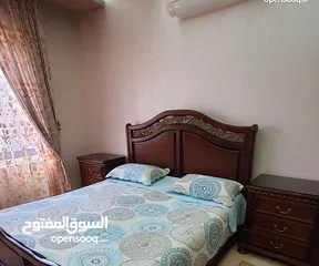  15 شقة مفروشة سوبر ديلوكس اعلان رقم (T10)