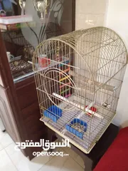  3 قفص كاسكو حجم كبير