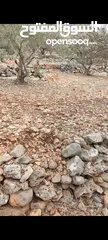  1 ارض للبيع سلفيت -بروقين
