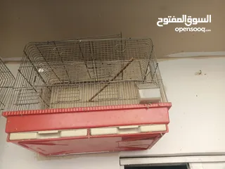  5 مخاليف كوكتيل عمر شهرين صحه ونظافة شغل تدريب