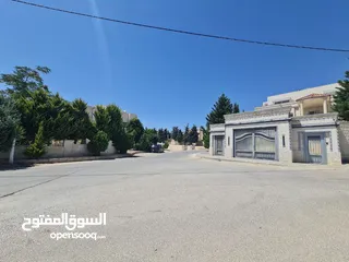  2 أرض للبيع في منطقة الحمر ( منطقة فلل فخمة)  شمال عمان 970م  بواجهه عرضه تصلح لبناء فيلا او فيلتين