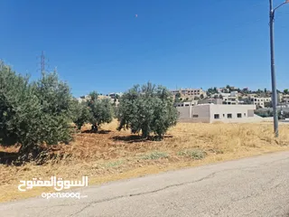  4 ارض للبيع 500 م في اجمل مناطق المملكه بدر الجديده (الغروس الغربي) على شارعين