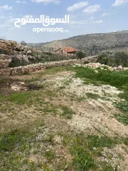  24 بيت ريفي مع مزرعة