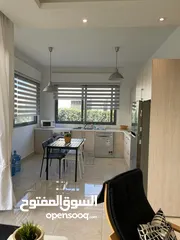  7 Furnished Apartment For Rent In Abdoun ( Property 38972 )-174795993