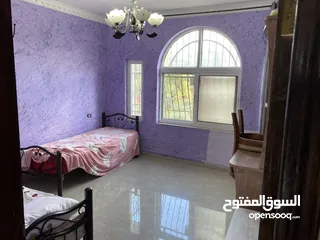  3 وسيم المقدسي