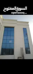  1 Curtain Wall Windows 42 per square metre only