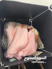  10 غراض خاصة بالاطفال