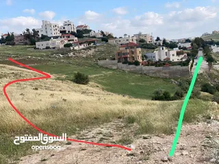  2 السلط السرو