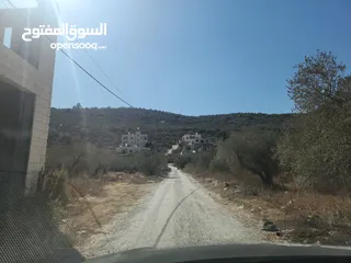  12 حصة في منطقة المشتل