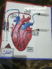 18 لعمل المجسمات المدرسية واللوحات والتوزيعات لجميع المناسبات