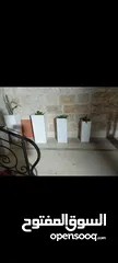  2 قواوير فايبر اسمنت قوية وجميلة جدا