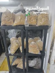  1 رفوف الجمل للاوزان