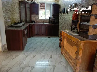  13 مزرعه مثمره للبيع