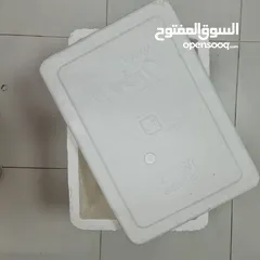  4 styrofoam box
