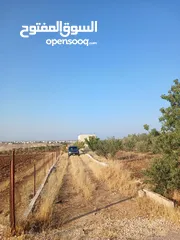  12 مزرعه أربعه دونم مشيكه بالكامل ارض زراعيه وبيت ريفي غرفتين وحمام ومطبخ صغير وباربكيو وساحه واسعه