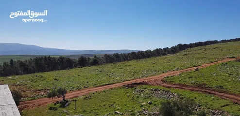  15 فيلا فاخرة على أرض 2000م تصنيف أ A, طابو – زاوية شارعين + مجلس ضيوف مستقل في طوباس