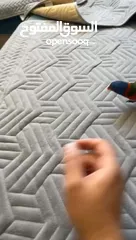  3 ببغاء لوري ريمبو لعشاق التميز