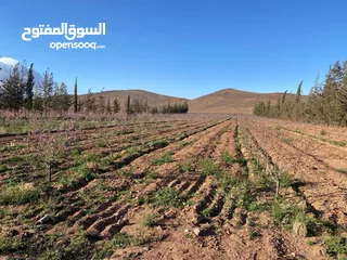  4 134-Hectare Farm for Sale in Morocco - مزرعة محفظة للبيع بمساحة 134 هكتار في منطقة ورزازات، المغرب