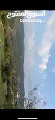  5 ارض مميزة للبيع