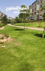  3 I villa garden