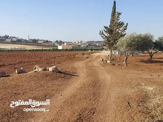  9 مادبا ماعين ارض زراعية مميزة عليها مزرعة زيتون جاهزة واصل جميع الخدمات مساحتها 4500 م