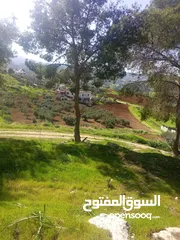  2 ارض للبيع في منطقه السليحي