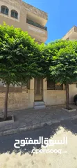  1 شقة للبيع تصلح كاستثمار لفتح مشروع سوبرماركت والسكن