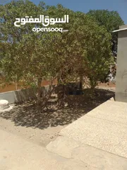  6 4 بيوت للبيع بسعر مغري