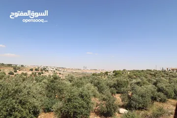  9 (1)ارض للبيع في اجمل مناطق الأردن الفحيص _حوض أبو ركبه _بالقرب من دابوق