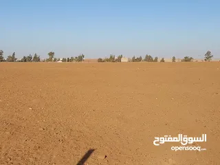 8 مادبا ماعين مشرفه المرعاوي  قطعة ارض زراعية مميزة  ذات اطلالة على البحر الميت واصل الخدمات 4150 متر