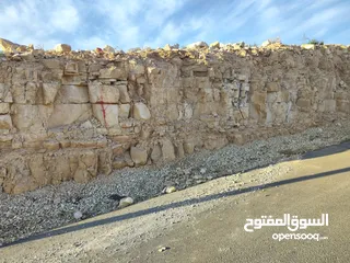  12 ارض للبيع - شفا بدران - زينات الربوع - سعر حرق
