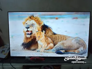  1 شاشة جينرال فيو فل سمارت بحال الجديد