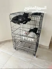  1 Cat cage fit one cat big