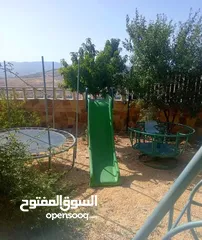  6 شاليه ومزرعة جرش