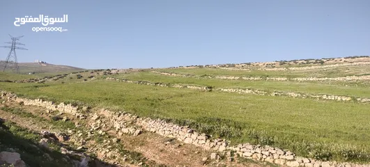 4 زينات الربوع قرب الترخيص