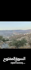  2 1101 متر واد البندوق / البصاصيل