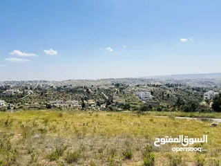  1 سوادة الجنوبي دونم 1000 م