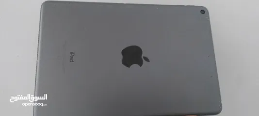  5 ipad mini 5