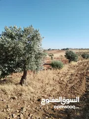  3 3400م للبيع واصل خدمات منطقه رحاب بني حسن بالقرب من طريق اربد الزرقاء الرئيسي من المالك مباشره