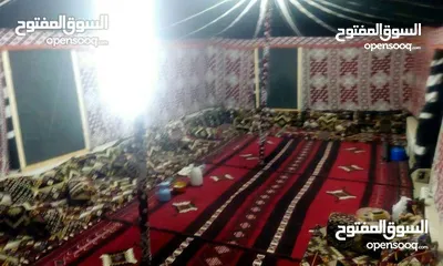 7 خيم شعر تراثيه  مساحة 8م×4م ويوجد مساحات أخرى حسب الطلب  خيم جديده لا يوجد مستعمله