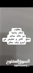  1 مطلوب ارقام رباعية من مالك مباشر