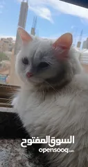  3 صلي ع النبي
