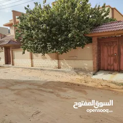  1 عقار سكني تجاري في بوابة الجبس
