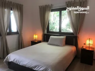  13 2nd Floor Furnished Apartment For Rent In Al-Lwaibdeh