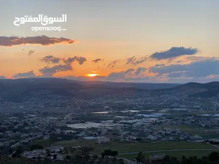  5 ارض مميزة في حي الضياء للبيع من المالك مباشرة