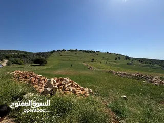  2 قطعة أرض زراعية جاهزة للزراعية