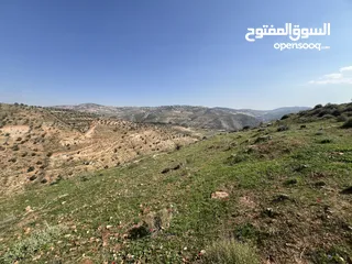 1 دونم ب كوشان مستقل ب اجمل مناطق جرش