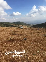  7 أرض ممتازة في جرش للسكن و للزراعة بقرب أحراش الدولة و سعر مغري  للمزيد من المعلومات اقرأ الوصف