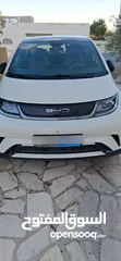  8 BYD 2023 دولفين