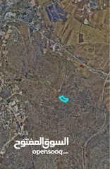  1 احمد ابو مصطفى